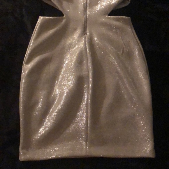 Express Metallic Dress - Picture 7 of 7